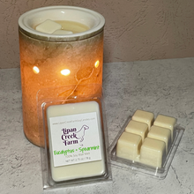 Load image into Gallery viewer, Eucalyptus + Spearmint